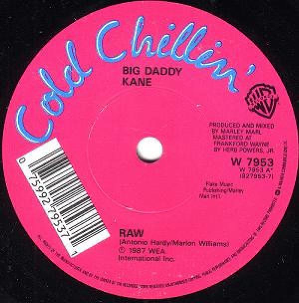 Big Daddy Kane - Raw / Word To The Mother (Land)