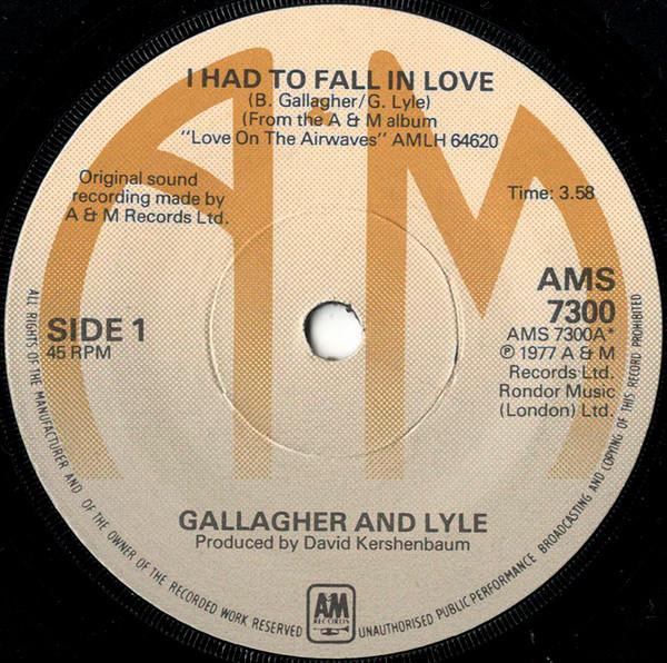 Gallagher & Lyle - I Had To Fall In Love