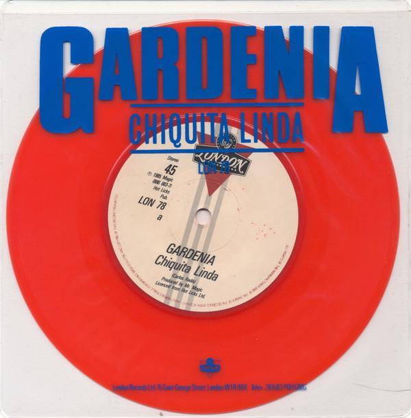 Gardenia - Chiquita Linda
