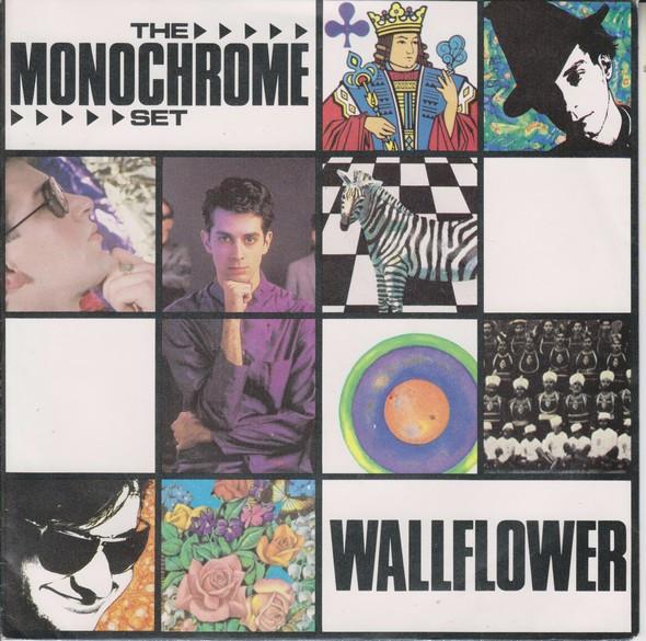 The Monochrome Set - Wallflower