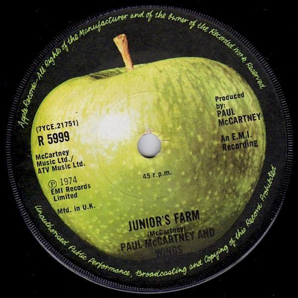 Wings  - Junior's Farm